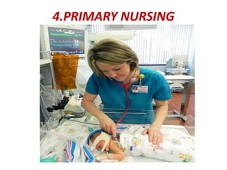 4.PRIMARY NURSING
 