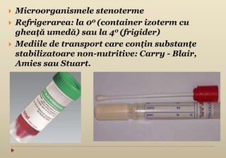  Microorganismele stenoterme
 Refrigerarea: la 00 (container izoterm cu
gheaţă umedă) sau la 40 (frigider)
 Mediile de transport care conțin substanțe
stabilizatoare non-nutritive: Carry - Blair,
Amies sau Stuart.
 