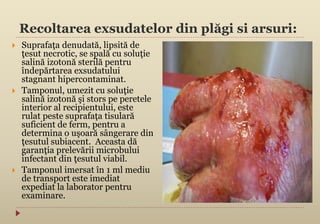 Recoltarea exsudatelor din plăgi si arsuri:
 Suprafaţa denudată, lipsită de
ţesut necrotic, se spală cu soluţie
salină izotonă sterilă pentru
îndepărtarea exsudatului
stagnant hipercontaminat.
 Tamponul, umezit cu soluţie
salină izotonă şi stors pe peretele
interior al recipientului, este
rulat peste suprafaţa tisulară
suficient de ferm, pentru a
determina o uşoară sângerare din
ţesutul subiacent. Aceasta dă
garanţia prelevării microbului
infectant din ţesutul viabil.
 Tamponul imersat în 1 ml mediu
de transport este imediat
expediat la laborator pentru
examinare.
 