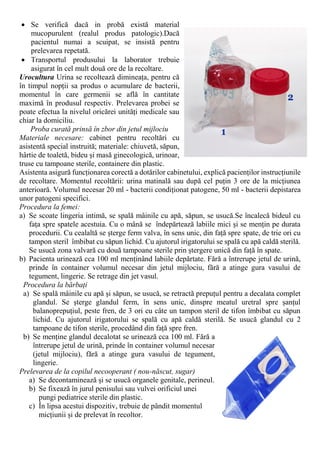 Se verifică dacă in probă există material
mucopurulent (realul produs patologic).Dacă
pacientul numai a scuipat, se insistă pentru
prelevarea repetată.
 Transportul produsului la laborator trebuie
asigurat în cel mult două ore de la recoltare.
Urocultura Urina se recoltează dimineața, pentru că
în timpul nopții sa produs o acumulare de bacterii,
momentul în care germenii se află în cantitate
maximă în produsul respectiv. Prelevarea probei se
poate efectua la nivelul oricărei unități medicale sau
chiar la domiciliu.
Proba curată prinsă în zbor din jetul mijlociu
Materiale necesare: cabinet pentru recoltări cu
asistentă special instruită; materiale: chiuvetă, săpun,
hârtie de toaletă, bideu și masă ginecologică, urinoar,
truse cu tampoane sterile, containere din plastic.
Asistenta asigură funcționarea corectă a dotărilor cabinetului, explică pacienților instrucțiunile
de recoltare. Momentul recoltării: urina matinală sau după cel puțin 3 ore de la micțiunea
anterioară. Volumul necesar 20 ml - bacterii condiționat patogene, 50 ml - bacterii depistarea
unor patogeni specifici.
Procedura la femei:
a) Se scoate lingeria intimă, se spală mâinile cu apă, săpun, se usucă.Se încalecă bideul cu
fața spre spatele acestuia. Cu o mână se îndepărtează labiile mici și se mențin pe durata
procedurii. Cu cealaltă se șterge ferm valva, în sens unic, din față spre spate, de trie ori cu
tampon steril îmbibat cu săpun lichid. Cu ajutorul irigatorului se spală cu apă caldă sterilă.
Se usucă zona valvară cu două tampoane sterile prin ștergere unică din față în spate.
b) Pacienta urinează cca 100 ml menținând labiile depărtate. Fără a întrerupe jetul de urină,
prinde în container volumul necesar din jetul mijlociu, fără a atinge gura vasului de
tegument, lingerie. Se retrage din jet vasul.
Procedura la bărbați
a) Se spală mâinile cu apă și săpun, se usucă, se retractă prepuțul pentru a decalata complet
glandul. Se șterge glandul ferm, în sens unic, dinspre meatul uretral spre șanțul
balanoprepuțiul, peste fren, de 3 ori cu câte un tampon steril de tifon îmbibat cu săpun
lichid. Cu ajutorul irigatorului se spală cu apă caldă sterilă. Se usucă glandul cu 2
tampoane de tifon sterile, procedând din față spre fren.
b) Se menține glandul decalotat se urinează cca 100 ml. Fără a
întrerupe jetul de urină, prinde în container volumul necesar
(jetul mijlociu), fără a atinge gura vasului de tegument,
lingerie.
Prelevarea de la copilul necooperant ( nou-născut, sugar)
a) Se decontaminează și se usucă organele genitale, perineul.
b) Se fixează în jurul penisului sau vulvei orificiul unei
pungi pediatrice sterile din plastic.
c) În lipsa acestui dispozitiv, trebuie de pândit momentul
micțiunii și de prelevat în recoltor.
 