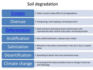 3.4. soil systempptx Ajay Sharma IB DP/IGCSE ESS/Geo | PPTX