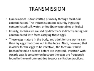 TRANSMISSION
• Lumbricoides is transmitted primarily through fecal-oral
contamination. The transmission can occur by ingesting
contaminated soil, water, or food(raw vegetables or fruits)
• Usually, ascariasis is caused by directly or indirectly eating soil
contaminated with feces carrying these eggs.
• These eggs mature in the body, and adult female worms can
then lay eggs that come out in the feces. Note, however, that
in order for the eggs to be infective , the feces must have
been infected 2-4 weeks before it is ingested. Infection with
Ascaris eggs is so common because the eggs are frequently
found in the environment due to poor sanitation practices.
 