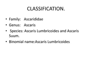 CLASSIFICATION.
• Family: Ascarididae
• Genus: Ascaris
• Species: Ascaris Lumbricoides and Ascaris
Suum.
• Binomial name:Ascaris Lumbricoides
 
