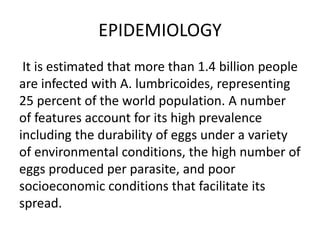 EPIDEMIOLOGY
It is estimated that more than 1.4 billion people
are infected with A. lumbricoides, representing
25 percent of the world population. A number
of features account for its high prevalence
including the durability of eggs under a variety
of environmental conditions, the high number of
eggs produced per parasite, and poor
socioeconomic conditions that facilitate its
spread.
 