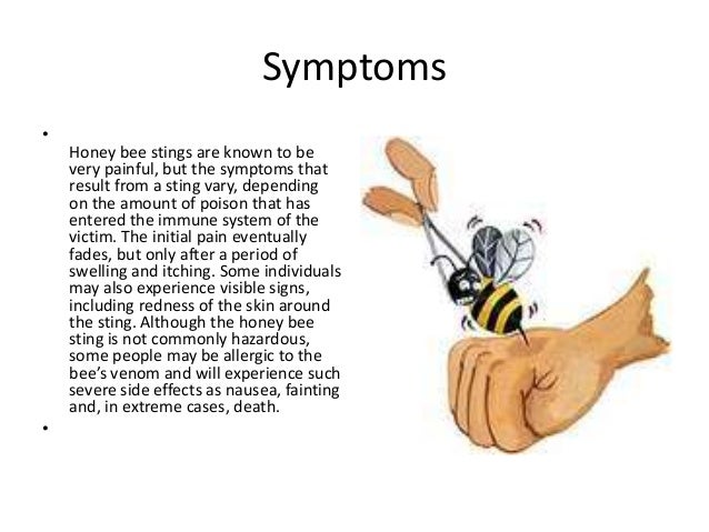 3.Bee stings A Lecture By Mr. Allah Dad Khan Former DG Agriculture…