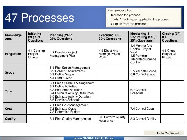 project management process