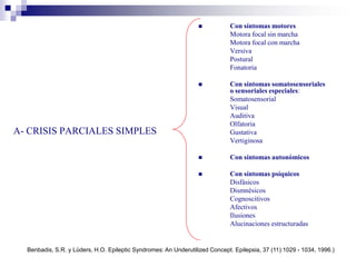 A- CRISIS PARCIALES SIMPLES
 Con síntomas motores
Motora focal sin marcha
Motora focal con marcha
Versiva
Postural
Fonatoria
 Con síntomas somatosensoriales
o sensoriales especiales:
Somatosensorial
Visual
Auditiva
Olfatoria
Gustativa
Vertiginosa
 Con síntomas autonómicos
 Con síntomas psíquicos
Disfásicos
Dismnésicos
Cognoscitivos
Afectivos
Ilusiones
Alucinaciones estructuradas
Benbadis, S.R. y Lüders, H.O. Epileptic Syndromes: An Underutilized Concept. Epilepsia, 37 (11):1029 - 1034, 1996.)
 