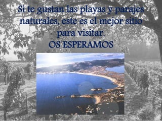 Si te gustan las playas y parajes
naturales, este es el mejor sitio
para visitar.
OS ESPERAMOS
 