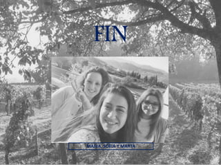 FIN
MARIA, SOFIA Y MARTA
 