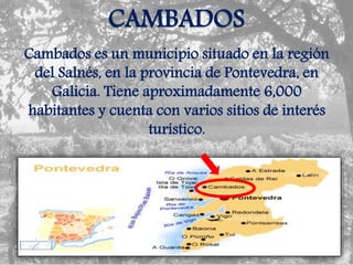 CAMBADOS
Cambados es un municipio situado en la región
del Salnés, en la provincia de Pontevedra, en
Galicia. Tiene aproximadamente 6,000
habitantes y cuenta con varios sitios de interés
turístico.
 