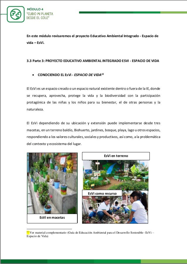 MANUAL DEL MÓDULO ESVI