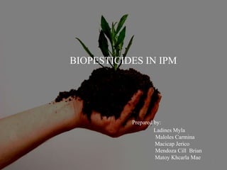 BIOPESTICIDES IN IPM
Prepared by:
Ladines Myla
Maloles Carmina
Macicap Jerico
Mendoza Cill Brian
Matoy Khcarla Mae
1
 