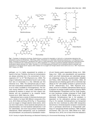 pathogen, as it is tightly sequestered by proteins or
haems in the host. Therefore, the free iron concentrations
are always extremely low in the environment of micro-
organisms (10-7
to 10-24
M) (Raymond et al., 2003). The
range of siderophore concentrations found in soil is wide,
from tens of micromoles to a few millimoles per litre
(Hersman et al., 1995). The siderophores play an impor-
tant role in extracellular solubilization of iron from minerals
so as to make it available to microorganism(s). The sce-
nario during infection is often similar; siderophores are
produced by bacteria to extract iron from organic sub-
stances and are considered to be virulence factors
(Lamont et al., 2002; Dale et al., 2004).
Siderophores have a variety of chemical structures and
form a family of at least 500 different compounds (Chu
et al., 2010; Hider and Kong, 2010) (Fig. 1). They possess
up to six oxygen or nitrogen electron donor atoms, which
can bind metal cations. Some bacterial siderophores are
polycarboxylates, but most bacterial siderophores in soil
are catecholates, and most fungi produce hydroxamate
siderophores. Mixed siderophores, such as azotobactin
and yersiniabactin, are produced by Azotobacter vinelan-
dii and Yersinia pestis respectively (Knosp et al., 1984;
Haag et al., 1993), and pseudobactin and pyoverdine,
which carry both hydroxamate and catecholate groups,
are widespread among the pseudomonades (Abdallah
and Pattus, 2000; Boukhalfa and Crumbliss, 2002). All
siderophores are chelating agents with an extremely high
affinity for Fe3+
with stability constants in general around
1030
M-1
(Albrecht-Gary et al., 1994; Raymond et al.,
2003). Once iron is chelated, siderophores deliver the iron
to bacteria via energy-coupled transport involving TBDTs
(TonB-Dependent Transporters) and the TonB complex,
an inner membrane complex composed of TonB, ExbB
and ExbD (Fig. 2) (Schalk, 2008; Noinaj et al., 2010).
Afterwards, ferrisiderophore fate in the periplasm is
dependent on the siderophore pathway and bacteria
(Fig. 2). For example, ferrisiderophores are transported
across the inner membrane by either ABC transporters
(ferrichrome or ferrienterobactine transport in Escherichia
coli) or permeases (ferrichrome or ferripyochelin path-
ways in P. aeruginosa) (Koster and Braun, 1989; Chenault
and Earhart, 1991; Cuiv et al., 2004; Michel et al., 2007;
Hannauer et al., 2010). Iron is most of the time released in
Fig. 1. Examples of siderophore structures. Desferrichrome is produced by Aspergillus or Ustil and is a hydroxamate siderophore like
ferrioxamine (Leong and Winkelmann, 1998; Braun, 2003). Enterobactin is a catechalote siderophore produced by E. coli (Raymond et al.,
2003). Pyoverdine is produced by P. aeruginosa PAO1 and is a mixed siderophore, which carries both hydroxamate and catecholate groups.
Citrate is considered to be a siderophore (Yue et al., 2003). Cepabactin is a 1-hydroxy-2-pyridinone bidentate siderophore produced by
Burkholderia cepacia (Klumpp et al., 2005). Pyochelin is a 2-(2-o-hydroxyphenyl-2-thiazolin-4-yl)-3-methylthiazo-lidine-4-carboxylic acid
produced by P. aeruginosa and B. cepacia, which chelates iron via oxygen and nitrogen electron donor atoms (Cox et al., 1981; Youard et al.,
2007; Hoegy et al., 2009).
Siderophores and metals other than iron 2845
© 2011 Society for Applied Microbiology and Blackwell Publishing Ltd, Environmental Microbiology, 13, 2844–2854
 