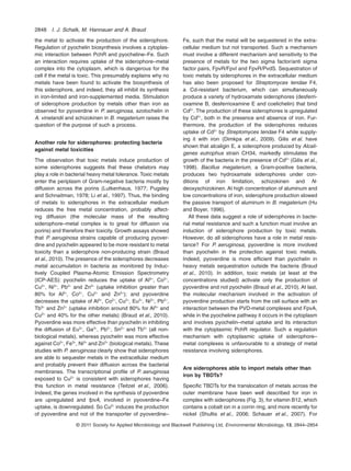 the metal to activate the production of the siderophore.
Regulation of pyochelin biosynthesis involves a cytoplas-
mic interaction between PchR and pyocheline–Fe. Such
an interaction requires uptake of the siderophore–metal
complex into the cytoplasm, which is dangerous for the
cell if the metal is toxic. This presumably explains why no
metals have been found to activate the biosynthesis of
this siderophore, and indeed, they all inhibit its synthesis
in iron-limited and iron-supplemented media. Stimulation
of siderophore production by metals other than iron as
observed for pyoverdine in P. aeruginosa, azotochelin in
A. vinelandii and schizokinen in B. megaterium raises the
question of the purpose of such a process.
Another role for siderophores: protecting bacteria
against metal toxicities
The observation that toxic metals induce production of
some siderophores suggests that these chelators may
play a role in bacterial heavy metal tolerance. Toxic metals
enter the periplasm of Gram-negative bacteria mostly by
diffusion across the porins (Lutkenhaus, 1977; Pugsley
and Schnaitman, 1978; Li et al., 1997). Thus, the binding
of metals to siderophores in the extracellular medium
reduces the free metal concentration, probably affect-
ing diffusion (the molecular mass of the resulting
siderophore–metal complex is to great for diffusion via
porins) and therefore their toxicity. Growth assays showed
that P. aeruginosa strains capable of producing pyover-
dine and pyochelin appeared to be more resistant to metal
toxicity than a siderophore non-producing strain (Braud
et al., 2010). The presence of the siderophores decreases
metal accumulation in bacteria as monitored by Induc-
tively Coupled Plasma-Atomic Emission Spectrometry
(ICP-AES): pyochelin reduces the uptake of Al3+
, Co2+
,
Cu2+
, Ni2+
, Pb2+
and Zn2+
(uptake inhibition greater than
80% for Al3+
, Co2+
, Cu2+
and Zn2+
); and pyoverdine
decreases the uptake of Al3+
, Co2+
, Cu2+
, Eu3+
, Ni2+
, Pb2+
,
Tb3+
and Zn2+
(uptake inhibition around 80% for Al3+
and
Cu2+
and 40% for the other metals) (Braud et al., 2010).
Pyoverdine was more effective than pyochelin in inhibiting
the diffusion of Eu3+
, Ga3+
, Pb2+
, Sn2+
and Tb3+
(all non-
biological metals), whereas pyochelin was more effective
against Co2+
, Fe3+
, Ni2+
and Zn2+
(biological metals). These
studies with P. aeruginosa clearly show that siderophores
are able to sequester metals in the extracellular medium
and probably prevent their diffusion across the bacterial
membranes. The transcriptional proﬁle of P. aeruginosa
exposed to Cu2+
is consistent with siderophores having
this function in metal resistance (Teitzel et al., 2006).
Indeed, the genes involved in the synthesis of pyoverdine
are upregulated and fpvA, involved in pyoverdine–Fe
uptake, is downregulated. So Cu2+
induces the production
of pyoverdine and not of the transporter of pyoverdine–
Fe, such that the metal will be sequestered in the extra-
cellular medium but not transported. Such a mechanism
must involve a different mechanism and sensitivity to the
presence of metals for the two sigma factor/anti sigma
factor pairs, FpvR/FpvI and FpvR/PvdS. Sequestration of
toxic metals by siderophores in the extracellular medium
has also been proposed for Streptomyces tendae F4,
a Cd-resistant bacterium, which can simultaneously
produce a variety of hydroxamate siderophores (desferri-
oxamine B, desferrioxamine E and coelichelin) that bind
Cd2+
. The production of these siderophores is upregulated
by Cd2+
, both in the presence and absence of iron. Fur-
thermore, the production of the siderophores reduces
uptake of Cd2+
by Streptomyces tendae F4 while supply-
ing it with iron (Dimkpa et al., 2009). Gilis et al. have
shown that alcaligin E, a siderophore produced by Alcali-
genes eutrophus strain CH34, markedly stimulates the
growth of the bacteria in the presence of Cd2+
(Gilis et al.,
1998). Bacillus megaterium, a Gram-positive bacteria,
produces two hydroxamate siderophores under con-
ditions of iron limitation, schizokinen and N-
deoxyschizokinen. At high concentration of aluminum and
low concentrations of iron, siderophore production slowed
the passive transport of aluminum in B. megaterium (Hu
and Boyer, 1996).
All these data suggest a role of siderophores in bacte-
rial metal resistance and such a function must involve an
induction of siderophore production by toxic metals.
However, do all siderophores have a role in metal resis-
tance? For P. aeruginosa, pyoverdine is more involved
than pyochelin in the protection against toxic metals.
Indeed, pyoverdine is more efficient than pyochelin in
heavy metals sequestration outside the bacteria (Braud
et al., 2010). In addition, toxic metals (at least at the
concentrations studied) activate only the production of
pyoverdine and not pyochelin (Braud et al., 2010). At last,
the molecular mechanism involved in the activation of
pyoverdine production starts from the cell surface with an
interaction between the PVD-metal complexes and FpvA,
while in the pyocheline pathway it occurs in the cytoplasm
and involves pyochelin–metal uptake and its interaction
with the cytoplasmic PchR regulator. Such a regulation
mechanism with cytoplasmic uptake of siderophore–
metal complexes is unfavourable to a strategy of metal
resistance involving siderophores.
Are siderophores able to import metals other than
iron by TBDTs?
Speciﬁc TBDTs for the translocation of metals across the
outer membrane have been well described for iron in
complex with siderophores (Fig. 3), for vitamin B12, which
contains a cobalt ion in a corrin ring, and more recently for
nickel (Shultis et al., 2006; Schauer et al., 2007). For
2848 I. J. Schalk, M. Hannauer and A. Braud
© 2011 Society for Applied Microbiology and Blackwell Publishing Ltd, Environmental Microbiology, 13, 2844–2854
 