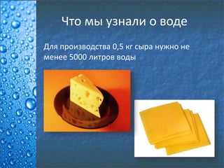 Что мы узнали о воде
Для производства 0,5 кг сыра нужно не
менее 5000 литров воды
 
