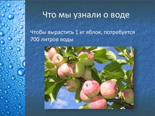 Что мы узнали о воде
Чтобы вырастить 1 кг яблок, потребуется
700 литров воды
 