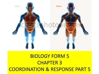 BIOLOGY FORM 5
CHAPTER 3
COORDINATION & RESPONSE PART 5
 