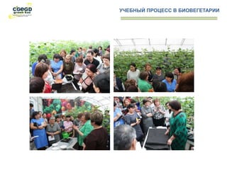 УЧЕБНЫЙ ПРОЦЕСС В БИОВЕГЕТАРИИ
 