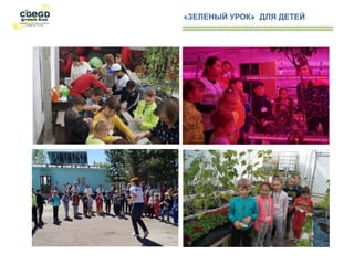 «ЗЕЛЕНЫЙ УРОК» ДЛЯ ДЕТЕЙ
 