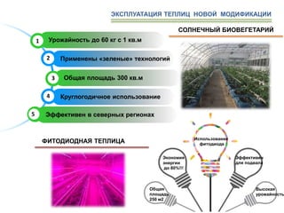 1 Урожайность до 60 кг с 1 кв.м
Применены «зеленые» технологий2
3 Общая площадь 300 кв.м
Круглогодичное использование4
5 Эффективен в северных регионах
СОЛНЕЧНЫЙ БИОВЕГЕТАРИЙ
ЭКСПЛУАТАЦИЯ ТЕПЛИЦ НОВОЙ МОДИФИКАЦИИ
ФИТОДИОДНАЯ ТЕПЛИЦА Использование
фитодиода
Экономия
энергии
до 80%!!!
Эффективен
для подвала
Общая
площадь
250 м2
Высокая
урожайность
 