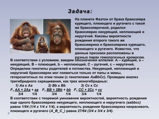 На планете Фаэтон от брака бракозявра
курящего, плюющего и ругачего с такой
же бракозяврочкой, родился
бракозяврик некурящий, неплюющий и
неругачий. Каковы вероятности
рождения второго такого же
бракозяврика и бракозяврика курящего,
плюющего и ругачего. Известно, что
данные признаки расположены в
разных парах гомологичных хромосом.
В соответствии с условием, введем обозначения аллелей: А – курящий, а –
некурящий, В – плюющий, b – неплюющий, С – ругачий, с – неругачий.
Определим генотипы родителей и потомства. Некурящий, неплюющий и
неругачий бракозяврик мог появиться только от папы и мамы,
гетерозиготных по этим генам (с генотипами АаВbСс). Проведем анализ
тригибридного скрещивания, как трех моногибридных:
1) Аа х Аа 2) Вb х Вb 3) Сс х Сс
F1 АА + 2Аа + аа F1 ВВ + 2Вb + bb F1 СС + 2Сс + сс
3/4 1/4 3/4 1/4 3/4 1/4
В соответствии с теоремой умножения вероятностей, вероятность рождения
еще одного бракозяврика некурящего, неплюющего и неругачего (ааbbсс)
равна 1/64 (1/4 х 1/4 х 1/4), а вероятность рождения бракозяврика некрасивого,
плюющего и ругачего (А_В_С_) равна 27/64 (3/4 х 3/4 х 3/4).
Задача:
 