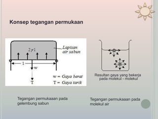 Resultan gaya yang bekerja
pada molekul - molekul
Konsep tegangan permukaan
Tegangan permukaaan pada
gelembung sabun
Tegangan permukaaan pada
molekul air
 