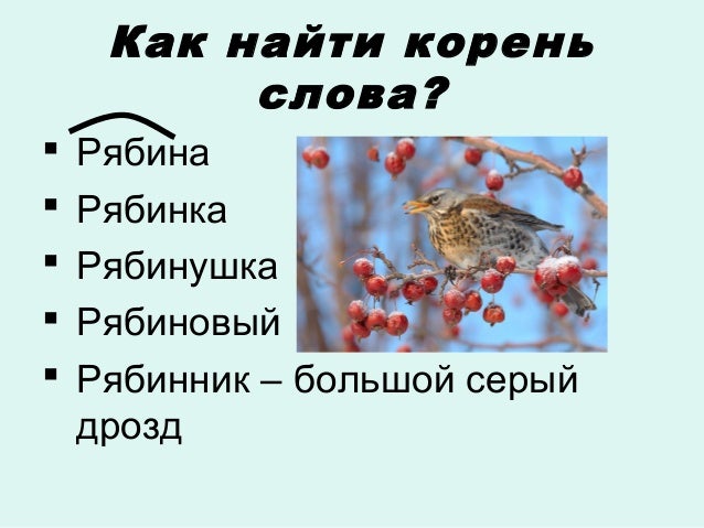 родственные слова корень слова. значение части слова корень. все корень слова. слова с корнем лес. все значения слова корень.