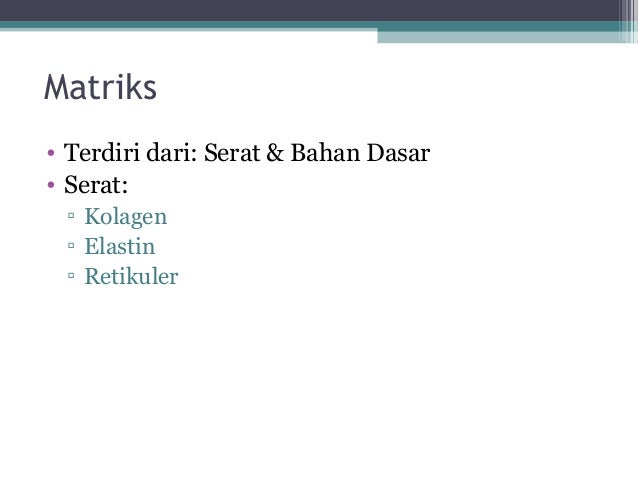 3 jaringan hewan 3 jaringan hewan