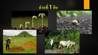 ส่วนที่ 1 ดิน
 