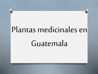 Plantas medicinales en
Guatemala
 