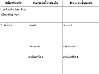 หัวข้อเปรียบเทียบ ลักษณะภายในของลาต้น ลักษณะภายในของราก
1. เอพิเดอร์มิส (เช่น มีขน/
ไม่มีขน/มีต่อม/ฯลฯ)
เรียงตัวชั้นเดี่ยว อาจมีขนหรือต่อม เรียงตัวชั้นเดียว มีขนราก
2. คอร์เทกซ์ ขอบเขต:
แคบหรือไม่มี
ชนิดของเซลล์:
ประกอบด้วยเซลล์หลายชนิด
เอนโดเดอร์มิส :
ส่วนใหญ่ไม่มีเอนโดเดอร์มิส ถ้ามีก็
เห็นได้ไม่ชัดเจน
ขอบเขต :
กว้างในระยะการเติบโตปฐมภูมิ
สาหรับพืชใบเลี้ยงคู่และขอบเขตแคบใน
ระยะการเติบโตทุติยภูมิ
ชนิดของเซลล์ :
เซลล์ชนิดเดียวคือพาเรงคิมา
เอนโดเดอร์มิส :
มีเอนโดเดอร์มิสและเห็นได้ชัดเจน
 