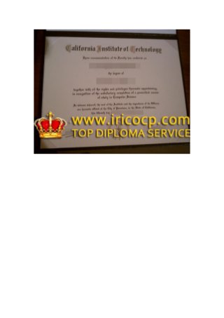 fake California Institute of Technology degree, buy diploma, how to buy degree?