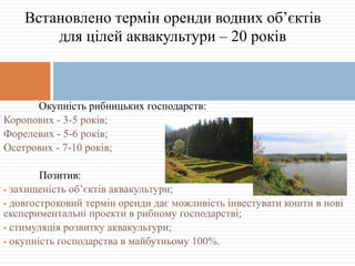 Окупність рибницьких господарств:
Коропових - 3-5 років;
Форелевих - 5-6 років;
Осетрових - 7-10 років;
Позитив:
 захищеність об’єктів аквакультури;
 довгостроковий термін оренди дає можливість інвестувати кошти в нові
експериментальні проекти в рибному господарстві;
 стимуляція розвитку аквакультури;
 окупність господарства в майбутньому 100%.
Встановлено термін оренди водних об’єктів
для цілей аквакультури – 20 років
 