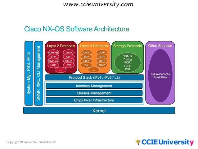 Cisco nx os software reference guide connect vnc unity windows server