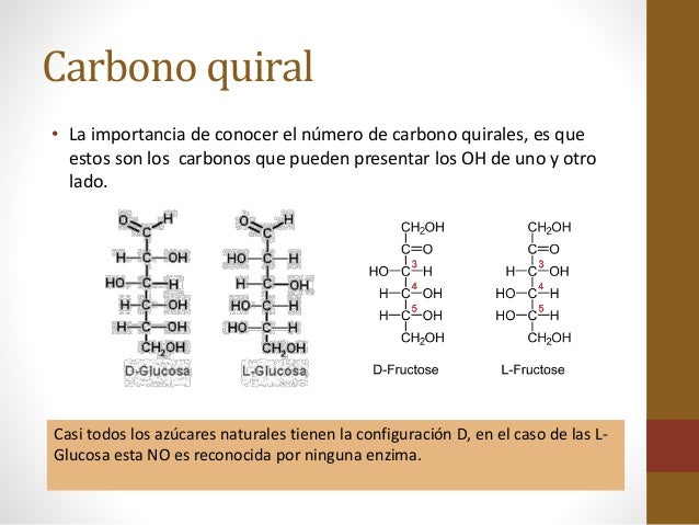 carbohidratos