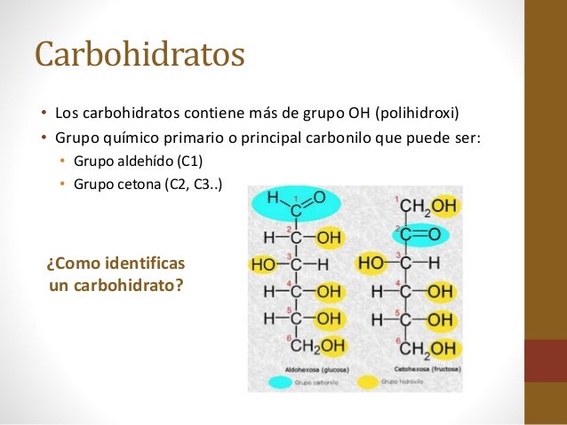 carbohidratos