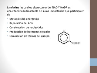 La niacina las cual es el precursor del NAD Y NADP es
una vitamina hidrosoluble de suma importancia que participa en
el:
• Metabolismo energético
• Reparación del ADN
• Construcción de nucleotidos
• Producción de hormonas sexuales
• Eliminación de tóxicos del cuerpo.
 