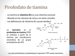Pirofosfato de tiamina
• La tiamina (o vitamina B1) es una vitamina esencial.
• Abunda en las cáscaras de arroz y en otros cereales.
• Las deficiencias de vitamina B1 causan beriberi.
La coenzima es el
pirofosfato de tiamina (TPP)
se sintetiza a partir de la
tiamina, por transferencia
enzimática de un grupo
pirofosforilo del ATP.
 Las descarboxilasas (carboxilasas) requieren TPP como coenzima.
 