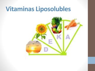 Vitaminas Liposolubles
 