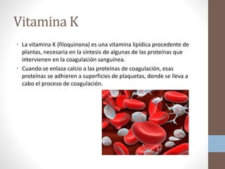 Vitamina K
• La vitamina K (filoquinona) es una vitamina lipídica procedente de
plantas, necesaria en la síntesis de algunas de las proteínas que
intervienen en la coagulación sanguínea.
• Cuando se enlaza calcio a las proteínas de coagulación, esas
proteínas se adhieren a superficies de plaquetas, donde se lleva a
cabo el proceso de coagulación.
 