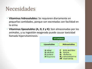 Necesidades
• Vitaminas hidrosolubles: Se requieren diariamente en
pequeñas cantidades, porque son excretadas con facilidad en
la orina
• Vitaminas líposolubles (A, D, E y K): Son almacenadas por los
animales, y su ingestión exagerada puede causar toxicidad
llamada hipervitaminosis.
 