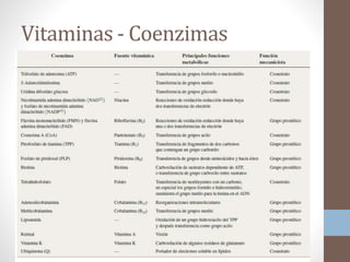 Vitaminas - Coenzimas
 