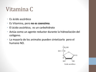 Vitamina C
• Es ácido ascórbico
• Es Vitamina, pero no es coenzima.
• El ácido ascórbico, es un carbohidrato
• Actúa como un agente reductor durante la hidroxilación del
colágeno.
• La mayoría de los animales pueden sintetizarlo pero el
humano NO.
 