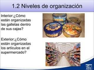1.2 Niveles de organización
Interior:¿Cómo
están organizadas
las galletas dentro
de sus cajas?
Exterior:¿Cómo
están organizadas
los artículos en el
supermercado?
 