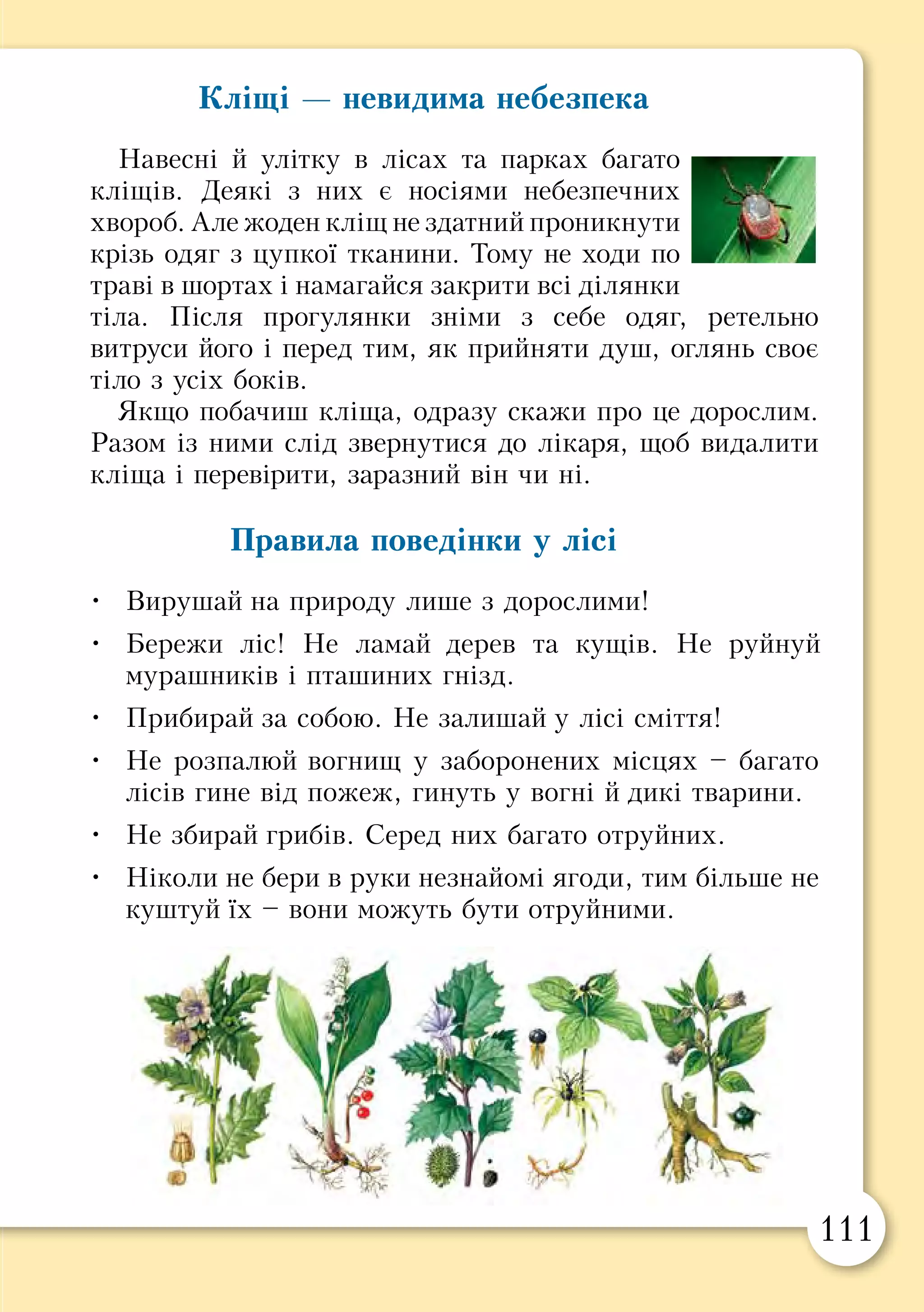 110 111
Одяг і речі для прогулянки на природі
Щоб під час прогулянки на природі почуватися
комфортно і безпечно, треба навчитися підбирати речі
для походу.
Об’єднайтесь у три групи: «одяг», «взуття» і
«речі». За малюнком підготуйте поради щодо:
•	 одягу, який захистить тіло від подряпин,
дощу, холоду та укусів комах;
•	 взуття і шкарпеток, які слід обрати для
прогулянки на природі;
•	 речей, які необхідно взяти з собою.
Одягайся так, щоб закрити ноги і руки. Візьми з собою светр і
легку куртку з водонепроникної тканини – навіть улітку погода може
різко змінитися. Добре, якщо куртка з каптуром і кишенями. Не забудь
про головний убір. Він знадобиться і в спеку, і в прохолодну погоду.
Особлива увага –
до взуття. Воно має
бути закритим і на
міцній підошві. Не
вдягай у ліс нові
черевики, вони
можуть муляти.
В теплу погоду
вдягни бавовняні
шкарпетки, а в
холодну – вовняні.
Добре узяти пару
шкарпеток про
запас.
Візьми з собою
достатньо їжі та
води – свіже повітря
пробуджує апетит.
Не забудь
мобільний телефон,
перевір заряд його
акумулятора.
Захопи свисток –
він виручить, якщо
ненароком відстанеш
від групи. Речі
поклади в рюкзак,
щоб звільнити руки.
Кліщі — невидима небезпека
Навесні й улітку в лісах та парках багато
кліщів. Деякі з них є носіями небезпечних
хвороб. Але жоден кліщ не здатний проникнути
крізь одяг з цупкої тканини. Тому не ходи по
траві в шортах і намагайся закрити всі ділянки
тіла. Після прогулянки зніми з себе одяг, ретельно
витруси його і перед тим, як прийняти душ, оглянь своє
тіло з усіх боків.
Якщо побачиш кліща, одразу скажи про це дорослим.
Разом із ними слід звернутися до лікаря, щоб видалити
кліща і перевірити, заразний він чи ні.
Правила поведінки у лісі
•	 Вирушай на природу лише з дорослими!
•	 Бережи ліс! Не ламай дерев та кущів. Не руйнуй
мурашників і пташиних гнізд.
•	 Прибирай за собою. Не залишай у лісі сміття!
•	 Не розпалюй вогнищ у заборонених місцях – багато
лісів гине від пожеж, гинуть у вогні й дикі тварини.
•	 Не збирай грибів. Серед них багато отруйних.
•	 Ніколи не бери в руки незнайомі ягоди, тим більше не
куштуй їх – вони можуть бути отруйними.
Навчись підбирати одяг і взуття для прогулянки.
 