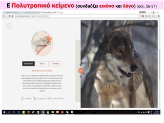 Ε Πολυτροπικό κείμενο (συνδυάζει εικόνα και λόγο) (σελ. 56-57)
 