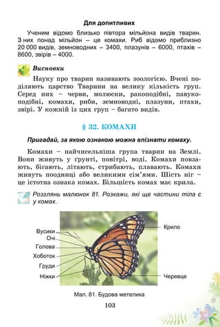 103
Для допитливих
Ученим відомо близько півтора мільйона видів тварин.
З них понад мільйон – це комахи. Риб відомо приблизно
20  000 видів, земноводних – 3400, плазунів – 6000, птахів –
8600, звірів – 4000.
Висновки
Науку про тварин називають зоологією. Вчені по-
діляють царство Тварини на велику кількість груп.
Серед них – черви, молюски, ракоподібні, павуко­
подібні, комахи, риби, земноводні, плазуни, птахи,
звірі. У кожній із цих груп – багато видів.
§ 32. Комахи
Пригадай, за якою ознакою можна впізнати комаху.
Комахи – найчисельніша група тварин на Землі.
Вони живуть у ґрунті, повітрі, воді. Комахи повза-
ють, бігають, літають, стрибають, плавають. Комахи
живуть поодинці або великими сі­м’ями. Шість ніг –
це істотна ознака комах. Більшість комах має крила.
Розглянь малюнок 81. Розкажи, які ще частини тіла є
у комах.
Крило
Черевце
Голова
Хоботок
Вусики
Очі
Груди
Ніжки
Мал. 81. Будова метелика
 