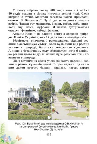 136
У ньому зібрано понад 200 видів птахів і майже
50 видів тварин з різних куточків земної кулі. Сюди
вперше із степів Монголії завезено коней Пржеваль-
ського. З Біловезької Пущі до заповідника завезли
зубрів­. Також тут мешкають бізони, зебри, зебу, анти-
лопи гну, лами, муфлони. З птахів зустрічаються
страу­си, фламінго, лебеді, фазани.
Асканія-Нова – не єдиний центр з охорони приро-
ди. Нині в Україні діють 17 державних заповідників.
Зберігають, вивчають і розмножують рідкісні рос-
лини в ботанічних садах. Коли будь-який вид рослин
зникне в природі, його вже неможливо відновити.
А якщо в ботанічному саду збережеться хоча б декіль-
ка рослин цього виду, їх можна буде розмножити і по-
вернути в природу.
Ще в ботанічних садах учені збирають колекції рос-
лин з різних куточків землі. В оранжереях під скля-
ним дахом ростуть банани, ананаси, кавові дерева
1 2
Мал. 108. Ботанічний сад імені академіка О.В. Фоміна (1)
та Центральний ботанічний сад імені М.М. Гришка
НАН України (2) (м. Київ)
 