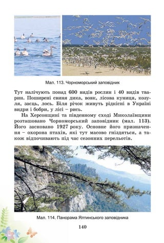 140
Мал. 113. Чорноморський заповідник
Тут налічують понад 600 видів рослин і 40 видів тва-
рин. Поширені свиня дика, вовк, лісова куниця, козу-
ля, заєць, лось. Біля річок живуть рідкісні в Україні
видри і бобри, у лісі – рись.
На Херсонщині та південному сході Миколаївщини
розташовано Чорноморський заповідник (мал. 113).
Його за­сновано 1927 року. Основне його призначен-
ня – охорона птахів, які тут масово гніздяться, а та-
кож відпочивають під час сезонних перельотів.
Мал. 114. Панорама Ялтинського заповідника
 