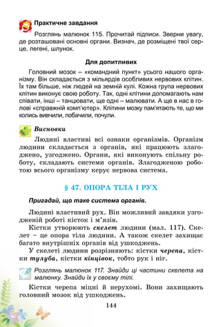 144
Практичне завдання
Розглянь малюнок 115. Прочитай підписи. Зверни увагу,
де розташовані основні органи. Визнач, де розміщені твої сер-
це, легені, шлунок.
Для допитливих
Головний мозок – «командний пункт» усього нашого орга-
нізму. Він складається з мільярдів особливих нервових клітин.
Їх там більше, ніж людей на земній кулі. Кожна група нервових
клітин виконує свою роботу. Так, одні клітини допомагають нам
співати, інші – танцювати, ще одні – малювати. А ще в нас в го-
лові «справжній комп’ютер». Клітини мозку пам’ятають те, що ми
колись вивчили, побачили, почули.
Висновки
Людині властиві всі ознаки організмів. Організм
людини складається з органів, які працюють злаго-
джено, узгоджено. Органи, які виконують спільну ро-
боту, складають системи органів. Злагодженою робо-
тою всього організму керує нервова система.
§ 47. Опора тіла і рух
Пригадай, що таке система органів.
Людині властивий рух. Він можливий завдяки узго-
дженій роботі кісток і м’язів.
Кістки утворюють скелет людини (мал. 117). Ске-
лет – це опора тіла людини. А також скелет захищає
багато внутрішніх органів від ушкоджень.
У скелеті людини розрізняють: кістки черепа, кіст-
ки тулуба, кістки кінцівок, тобто рук і ніг.
Розглянь малюнок 117. Знайди ці частини скелета на
малюнку. Знайди їх у своєму тілі.
Кістки черепа міцні й нерухомі. Вони захищають
головний мозок від ушкоджень.
 